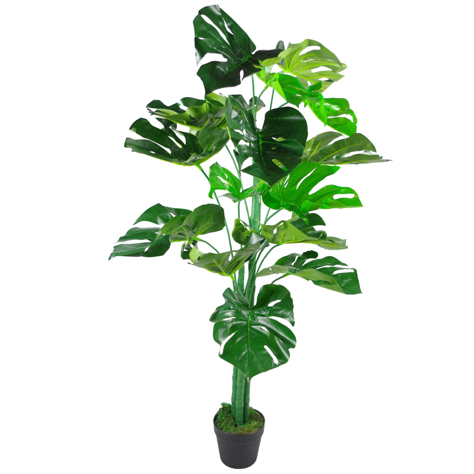 79167862