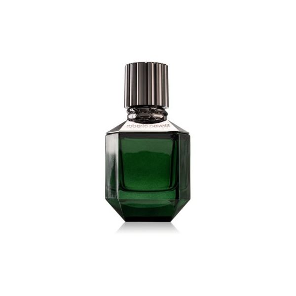 Roberto Cavalli Paradise Found For Men Eau de Toilette 50ml Spray