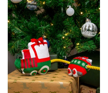 Ancol Christmas - Christmas Express