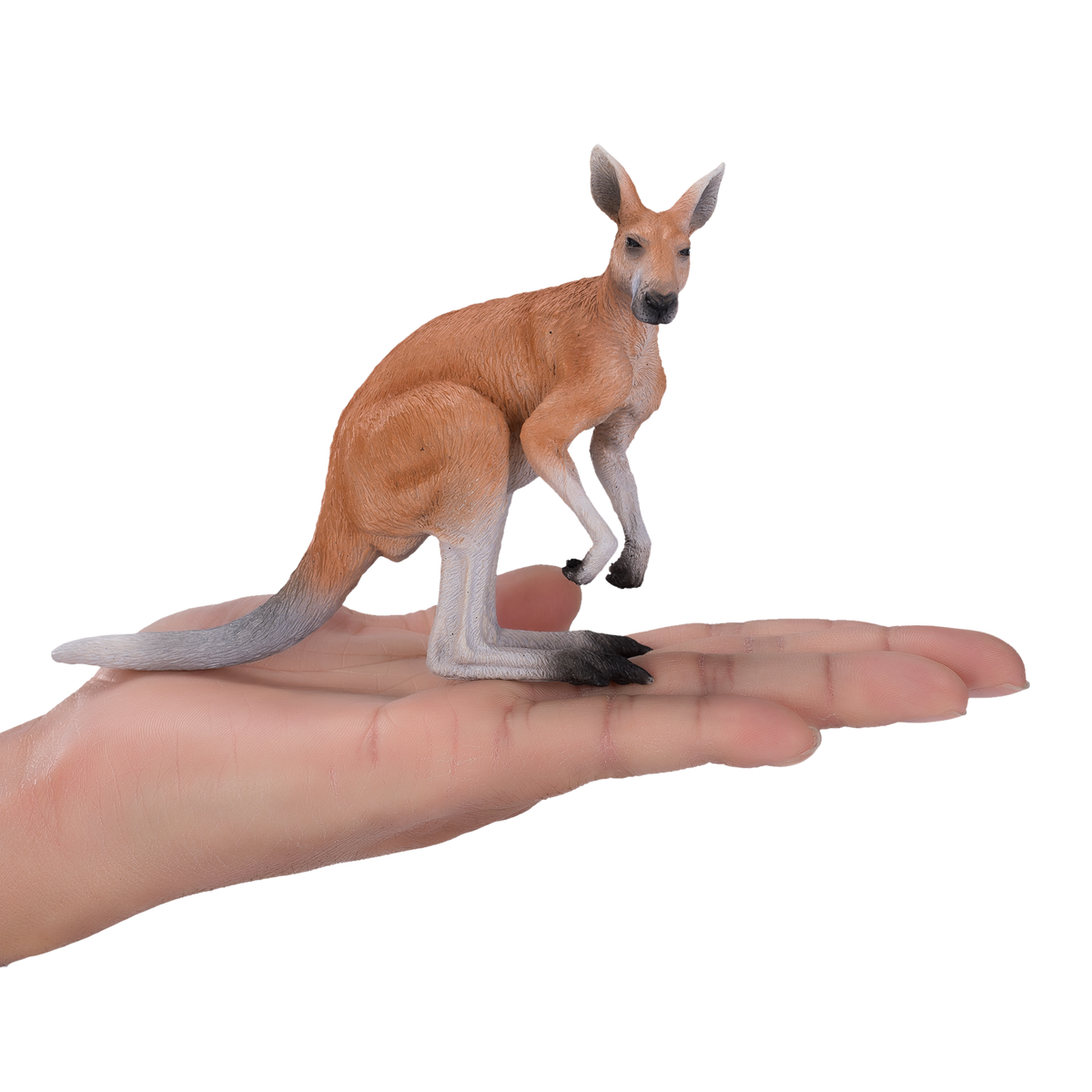 Kangaroo Toy Realistic Australian Wildlife Model