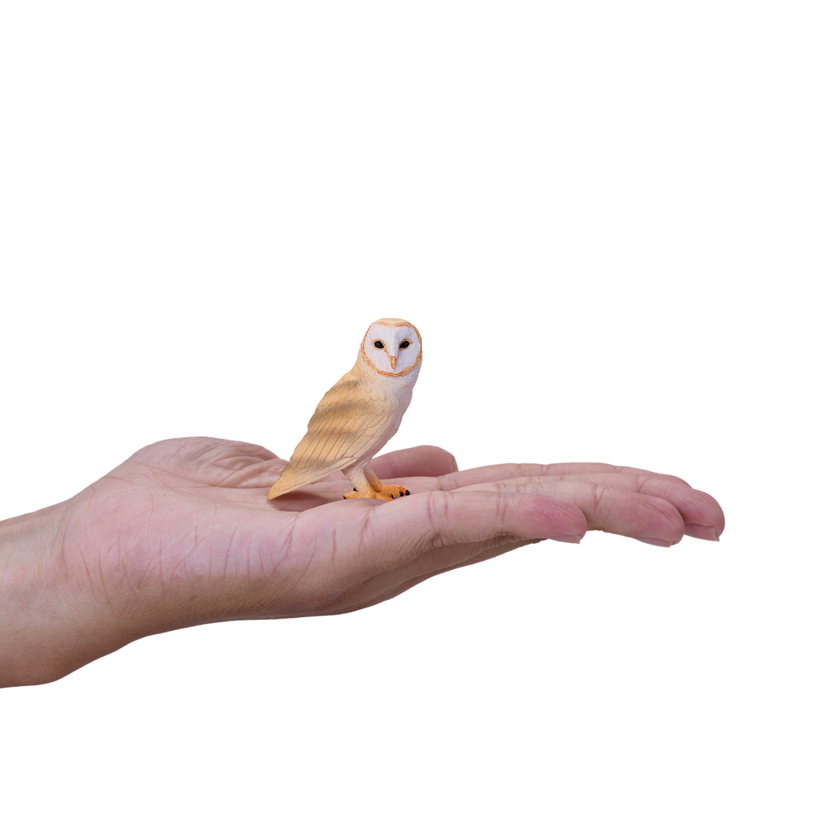 Barn Owl Toy Realistic Nocturnal Bird Figurine