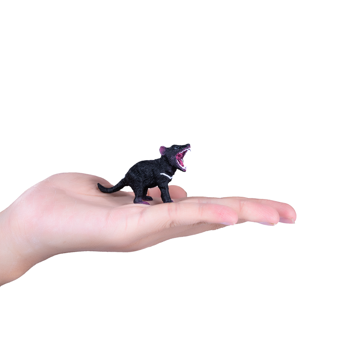 Tasmanian Devil Toy Realistic Wildlife Figure