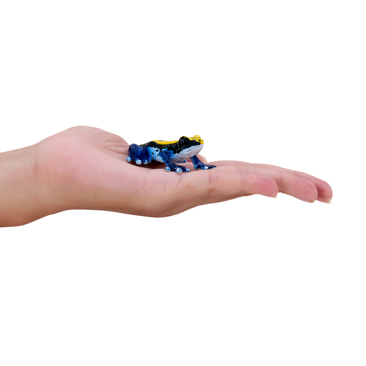 Poison Dart Frog Blue Toy Realistic Rainforest Amphibian