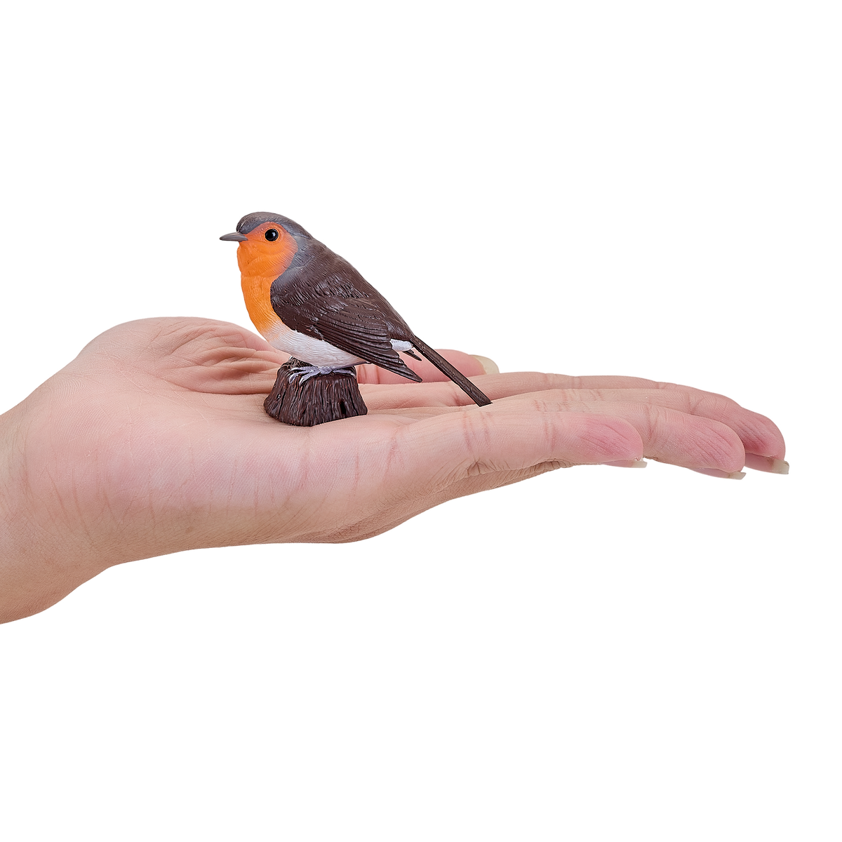 Robin Bird Toy Realistic Wildlife Figurine