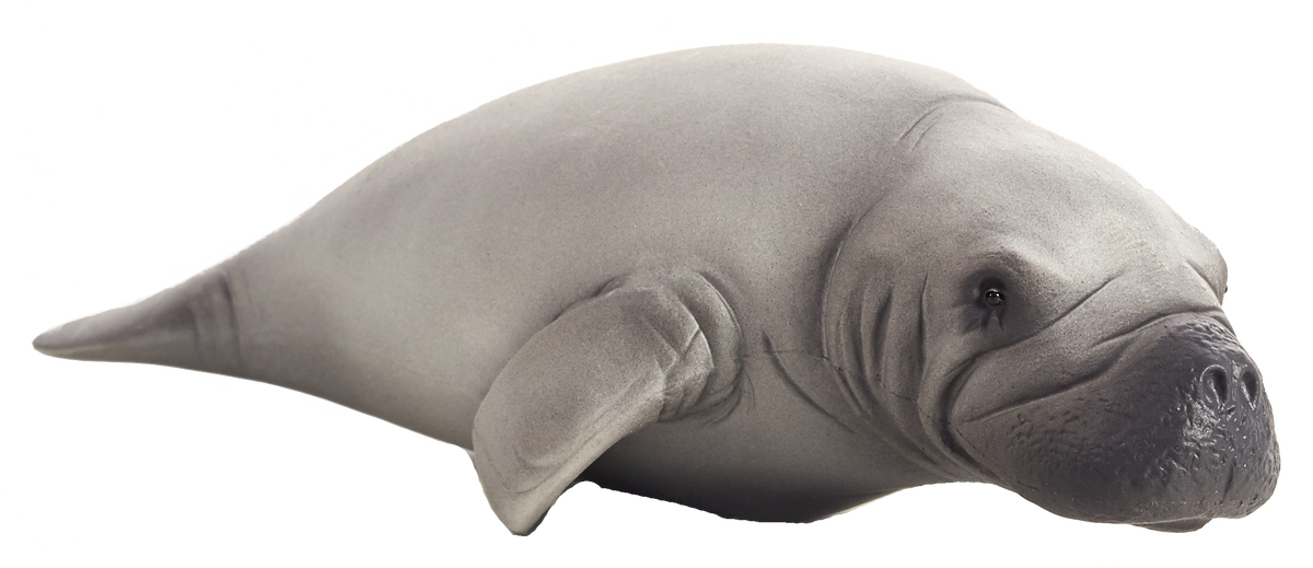 Manatee Toy Realistic Marine Mammal Figurine