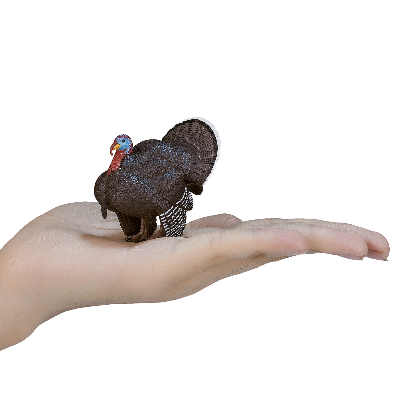 Male Turkey Toy Figure Farmyard Animal Model