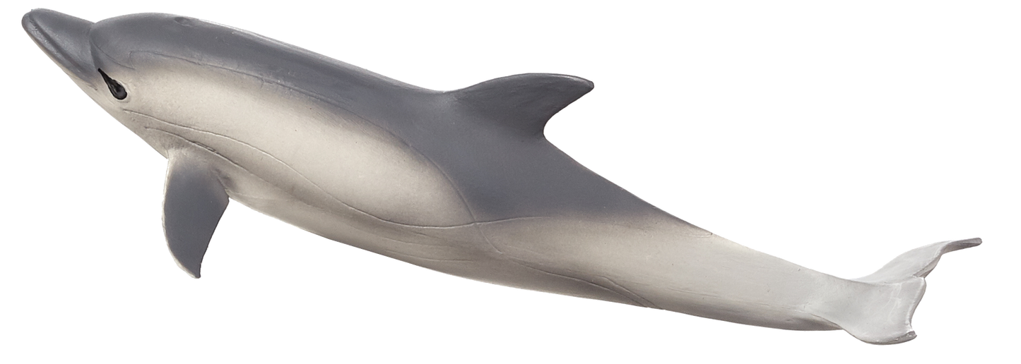 Common Dolphin Toy Realistic Ocean Animal Figurine