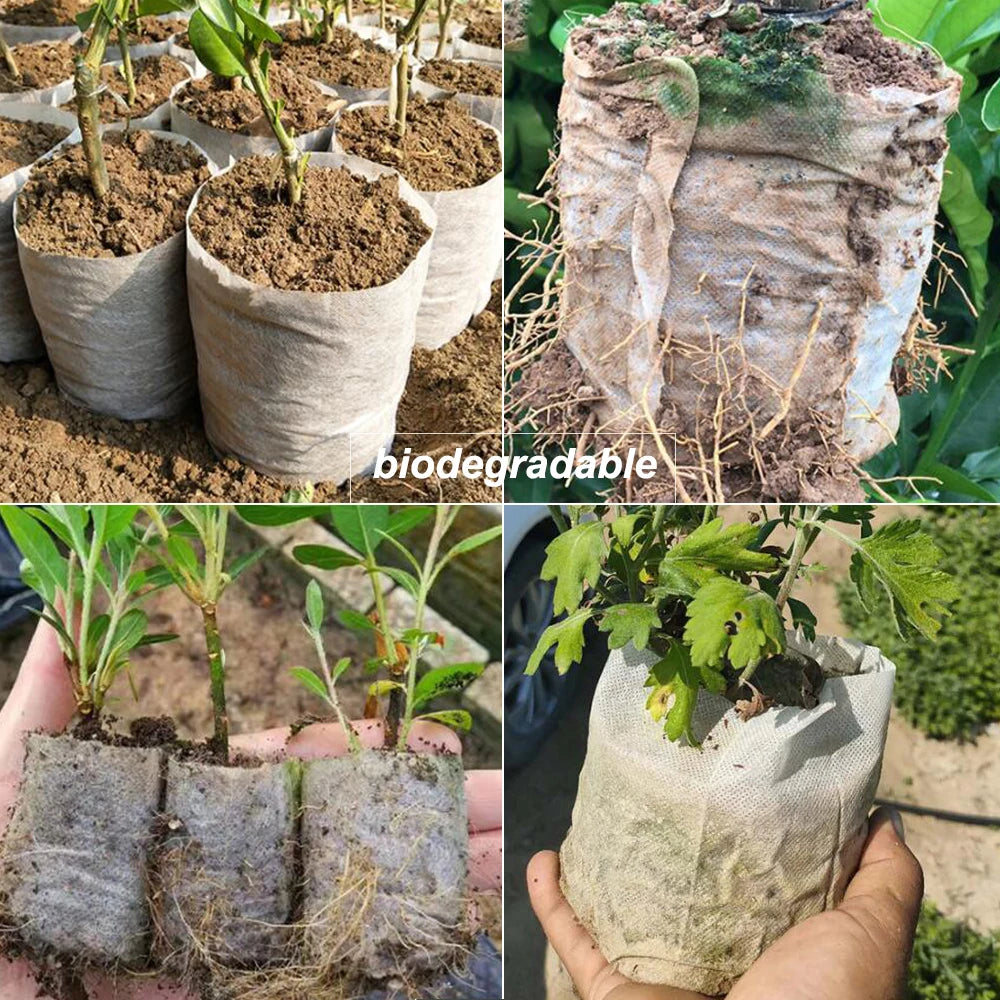 RBCFHI Biodegradable Grow Bags - Healthy Root Growth - 25-50 Pieces
