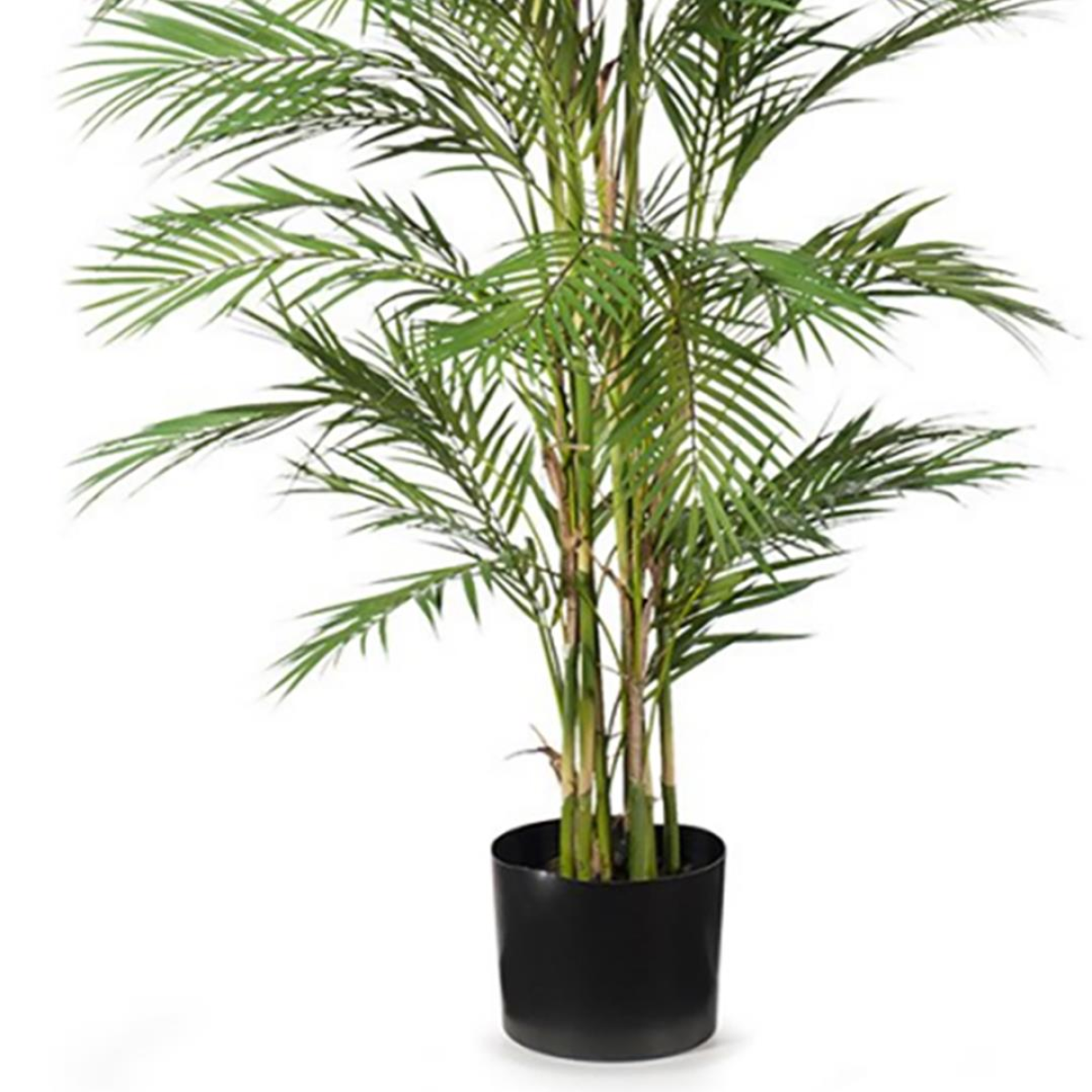 180cm Areca Palm Artificial UV Resistant