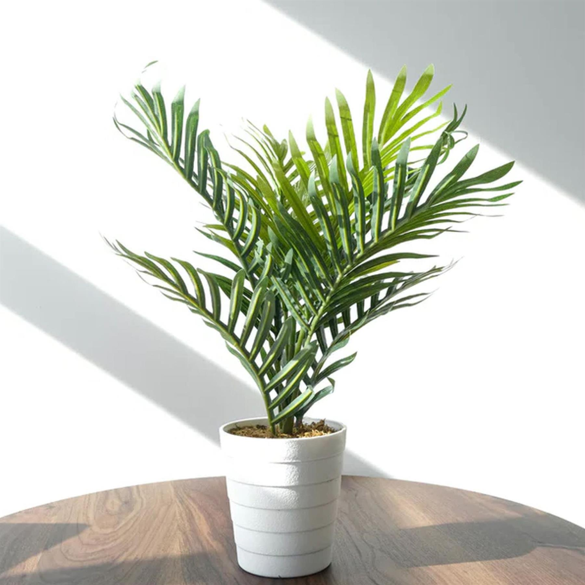 50cm Artificial Mini Palm Tree