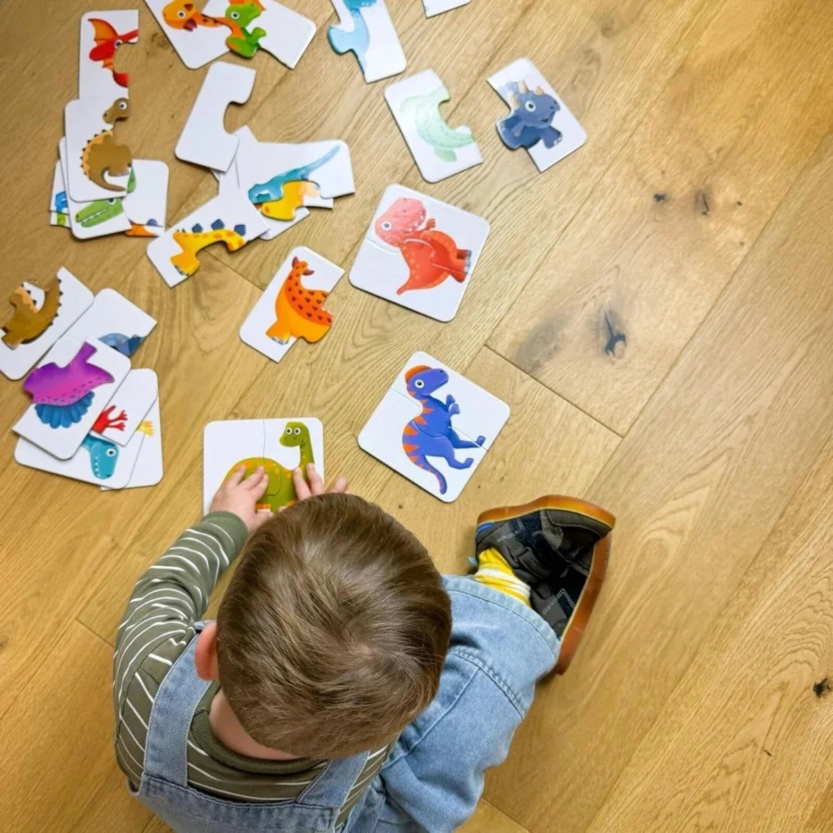 My First Match! Dinosaur Friends Puzzle