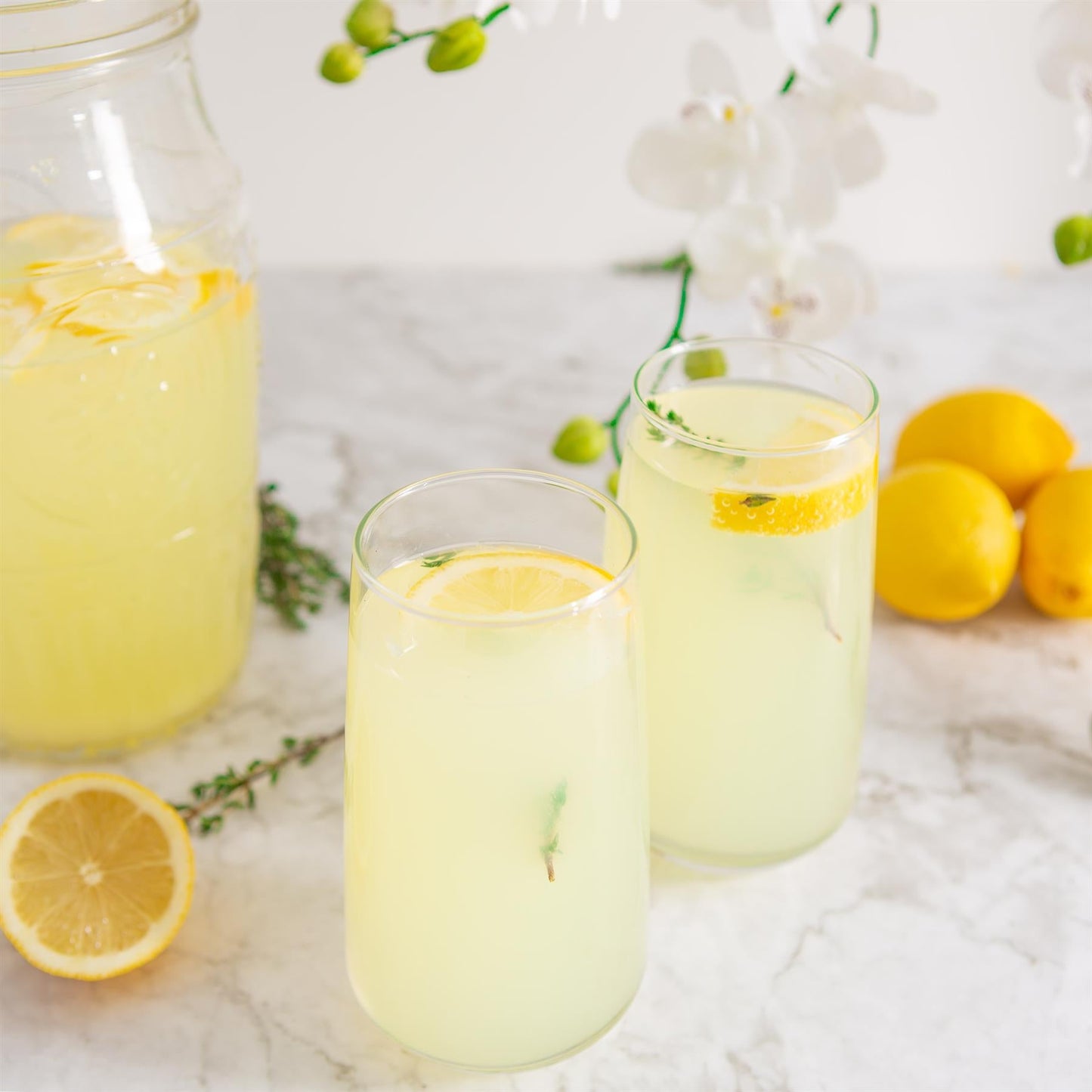 480ml Lal Highball Glasses - Pack of Six