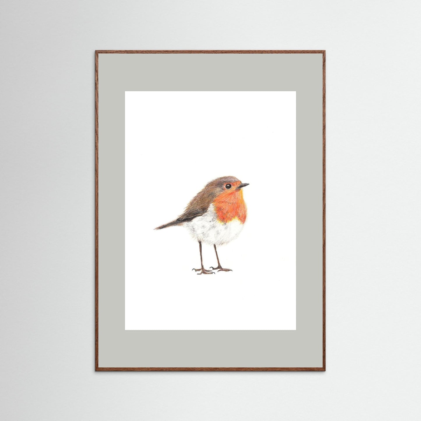 Robin Woodland Art Print