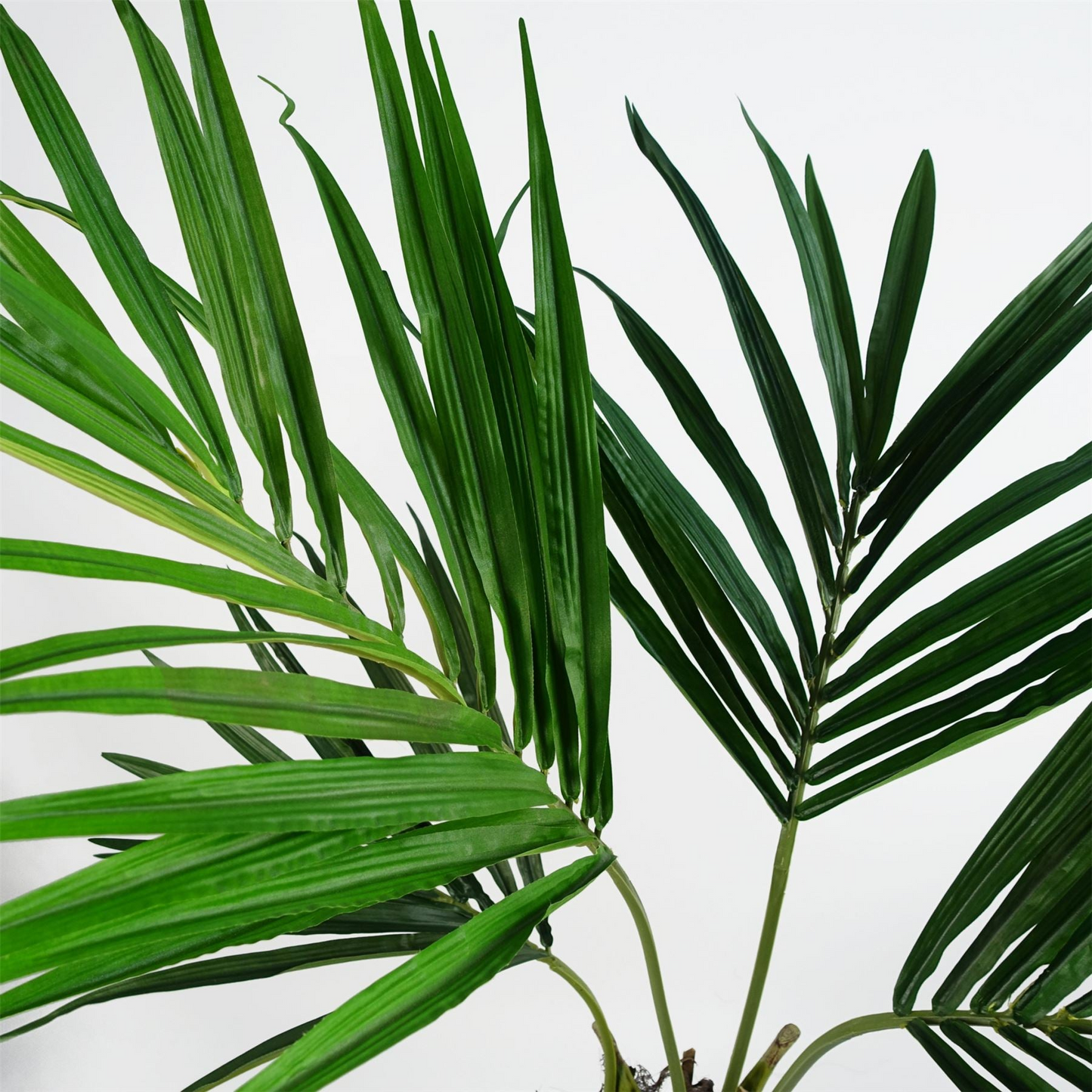 79167679
