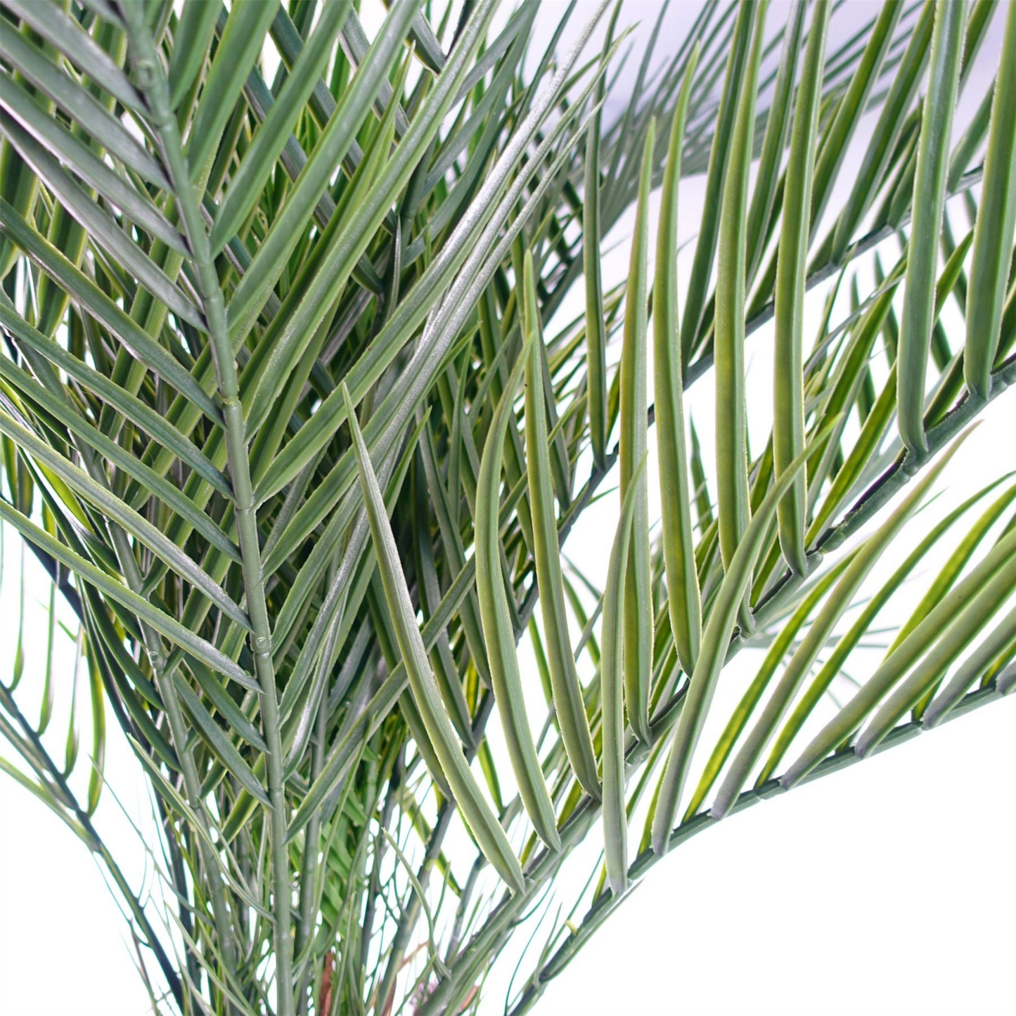 65599800