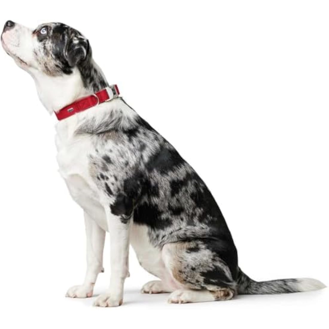 Hunter - Collar Softie Alu-Strong 45-65 cm red
