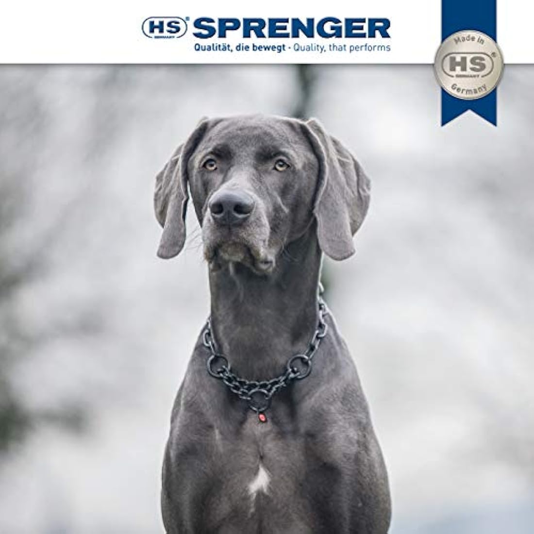 Sprenger Dog Necklace with Pull Chain 3 mm I Stainless Steel Dog Collar for Short and Long Hair Dog Breeds up to 55 kg 55 cm Black