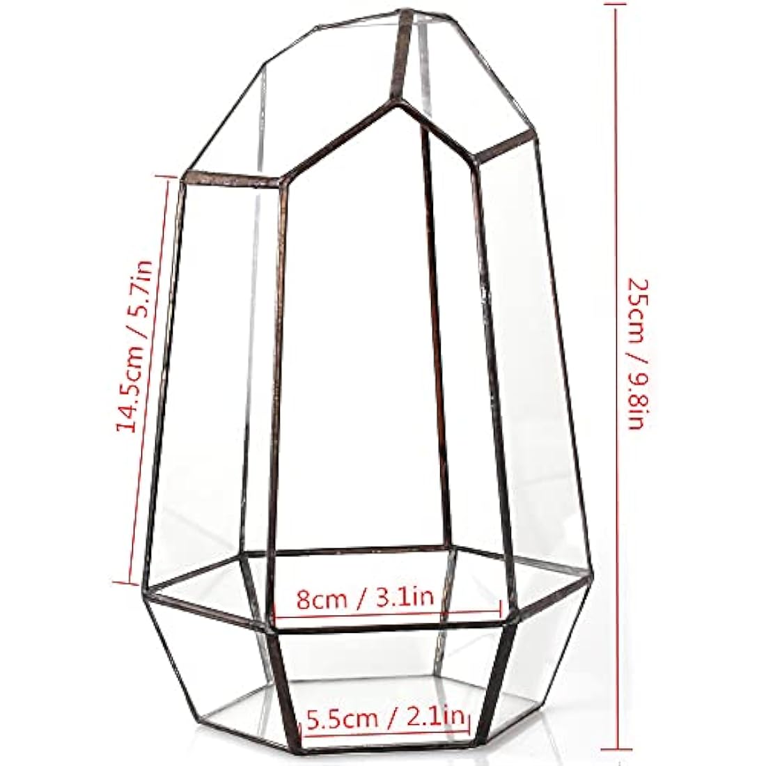 NCYP Opened Geometric Glass Terrarium for Succulent, Air Plants - 16.5 x 14.5 x 25 CM Irregular Glass Planter Pot - Indoor Garden Tabletop Decor, Black (No Plants, No Door)