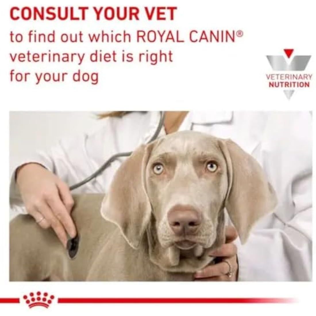 ROYAL CANIN Dog Food Hypoallergenic Small Dog Canin Dog Foode Veterinary Diet 3.5 Kg