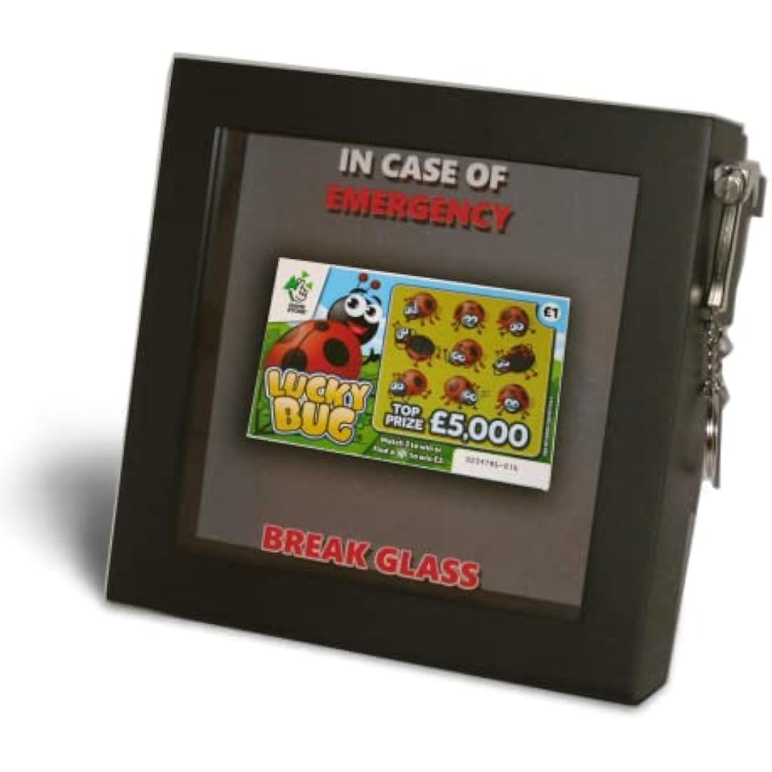 Birthday In Case of Present Emergency, Break Glass Gift Box. Fun Novelty 3d Frame. Food/Chocolate/Sweets/Drink/Money/Voucher/Jewellery. Daughter Granddaughter Sister Best Friend Mate Niece
