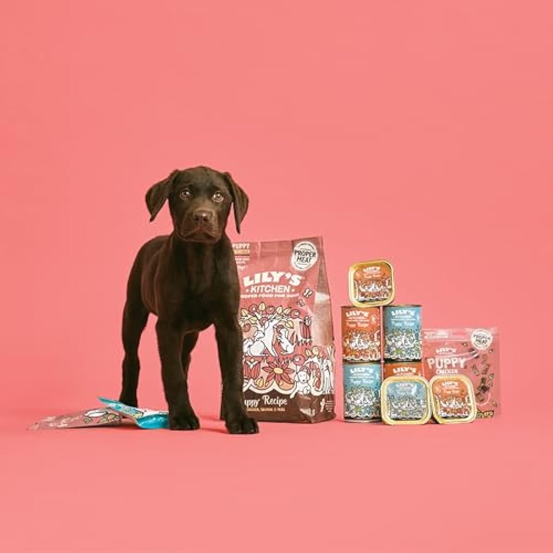 Lily’s Kitchen Made with Natural Ingredients Puppy Recipe With Chicken Wet Dog Food Tray (10 x 150g)