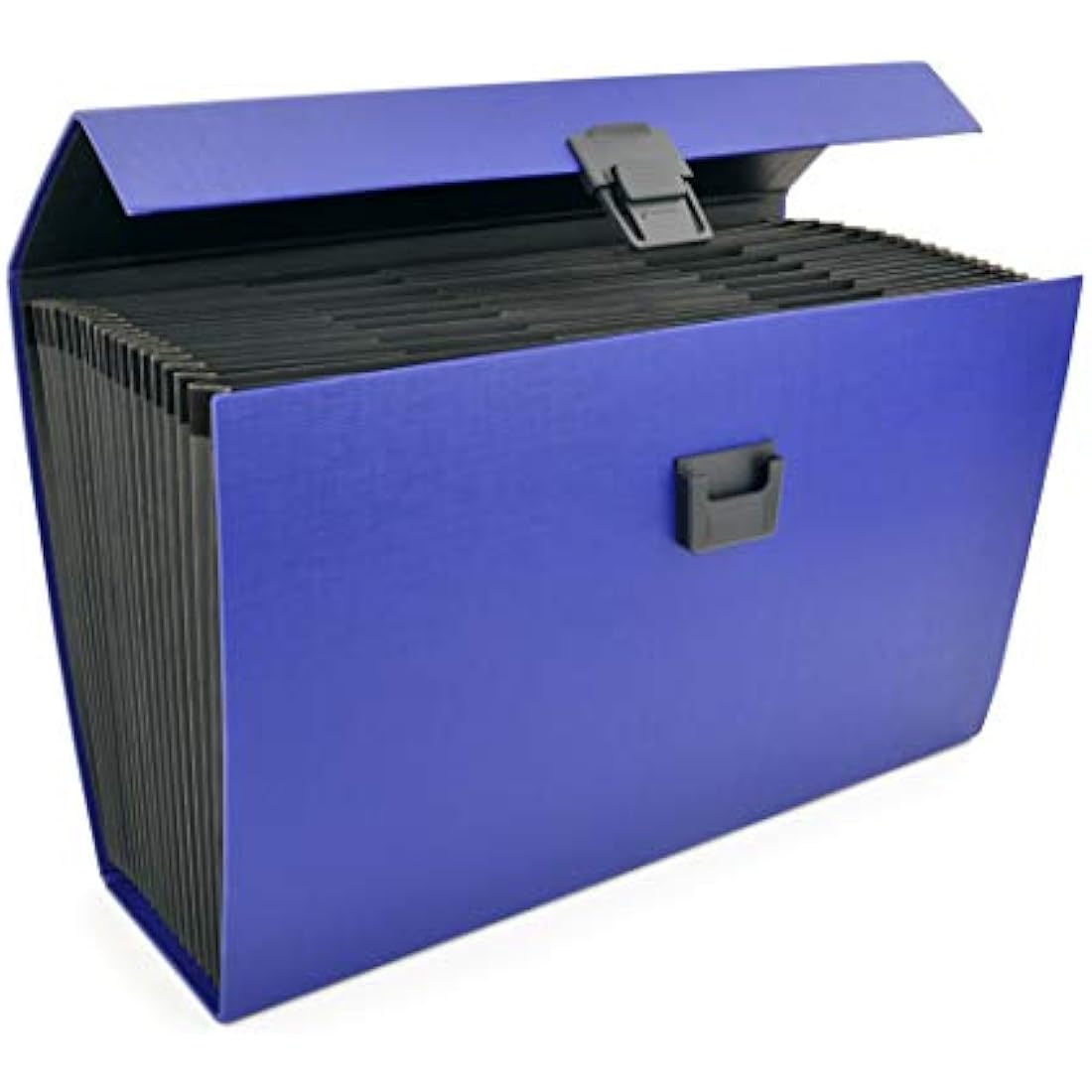 Rapesco 1553 19-Part Expanding Box File Document Organiser, A4+, Blue
