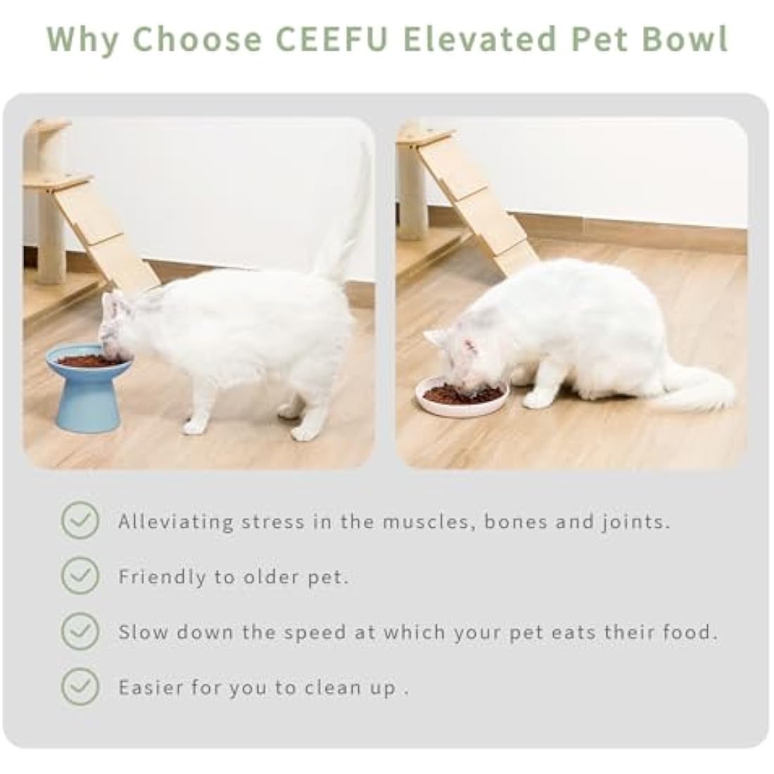 CEEFU 2 Extra Wide Elevated Cat Food Bowl, Ceramic Cat Bowls for Food and Water, Wide Shallow Cat Food Dish, Whisker Fatigue, Lead & Cadmium Free, Great Height for Cat, Blue