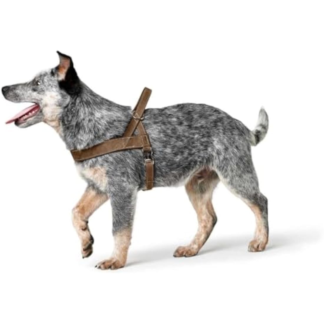 HUNTER Norwegian harness for Dogs Hunting, 60 x 77-110 cm, Brown