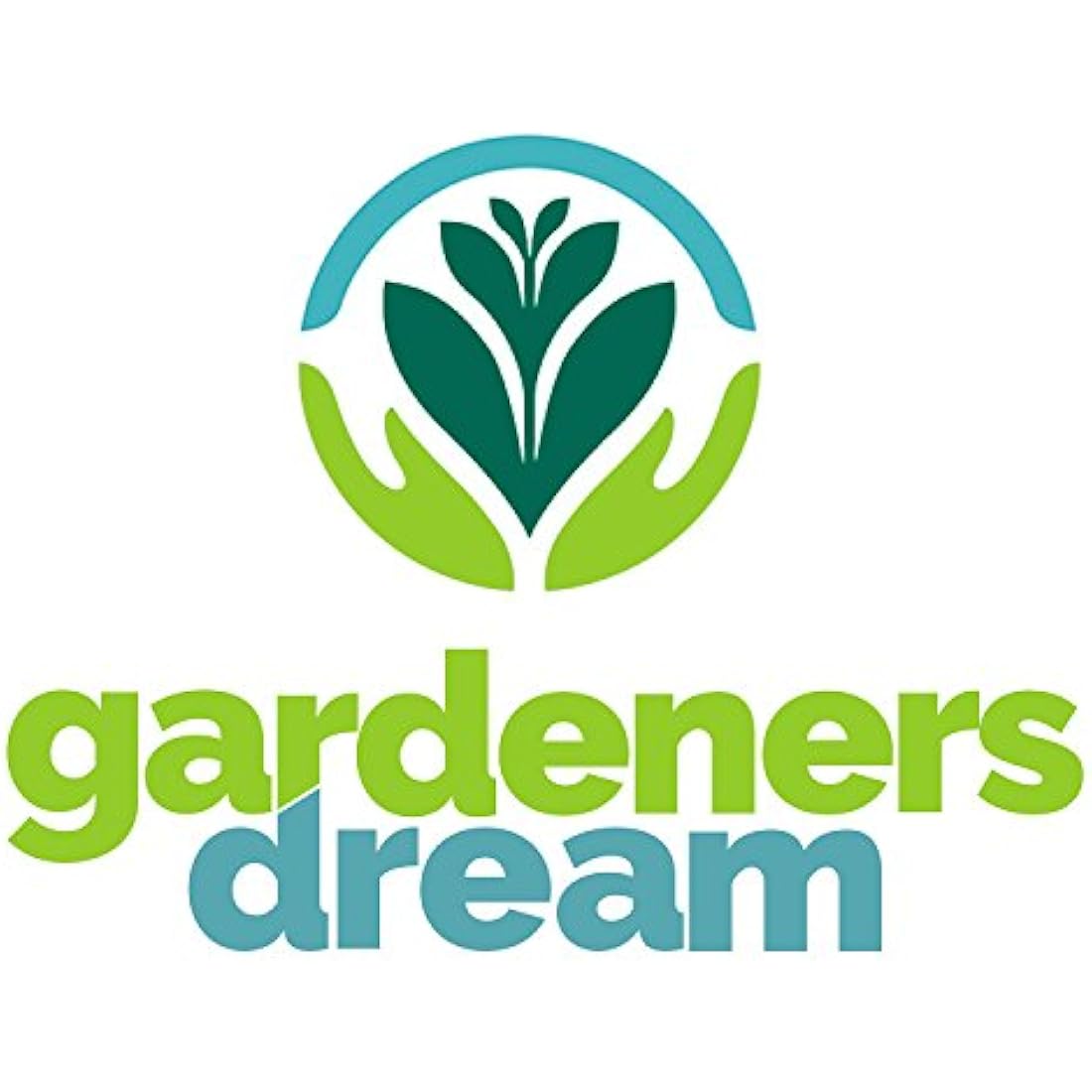 GardenersDream 20 Succulent Plants - Real Indoor Plants for Desks, Shelves, and Windowsills - Healthy and Lively Air Purifying Plant - Great Gifts for Plant Lovers (5–25 cm)