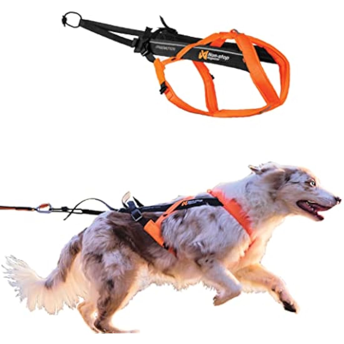 Non-stop dogwear Freemotion harness 5.0 Dog Pulling Harness for Sports like Running, Biking and Skiing with Dogs, Professional Adjustable Dog Harness, Orange/Black, Size 6