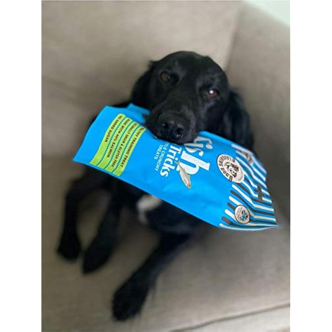 Laughing Dog - Fish & Tricks - Grain Free Dog Treats - Fish Training Treats, Healthy Training Treat - 125g