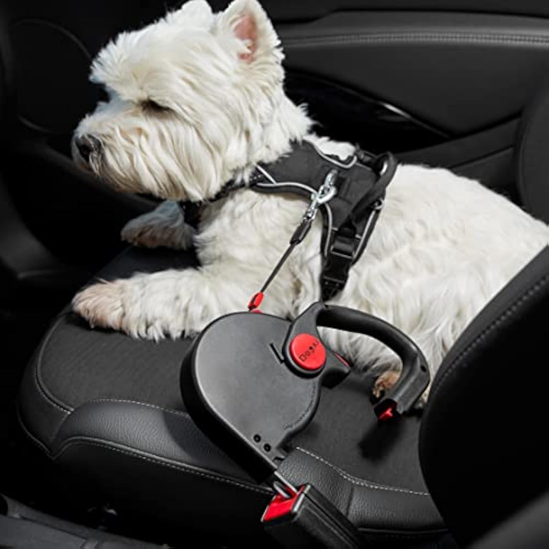 Dogxi Dog Lead Multifunctional Extendable Retractable Dog Lead 5m Handle Opens For Easy Fastening Seatbelt Buckle For Safe Transport In The Car For Small And Medium-Sized Dogs