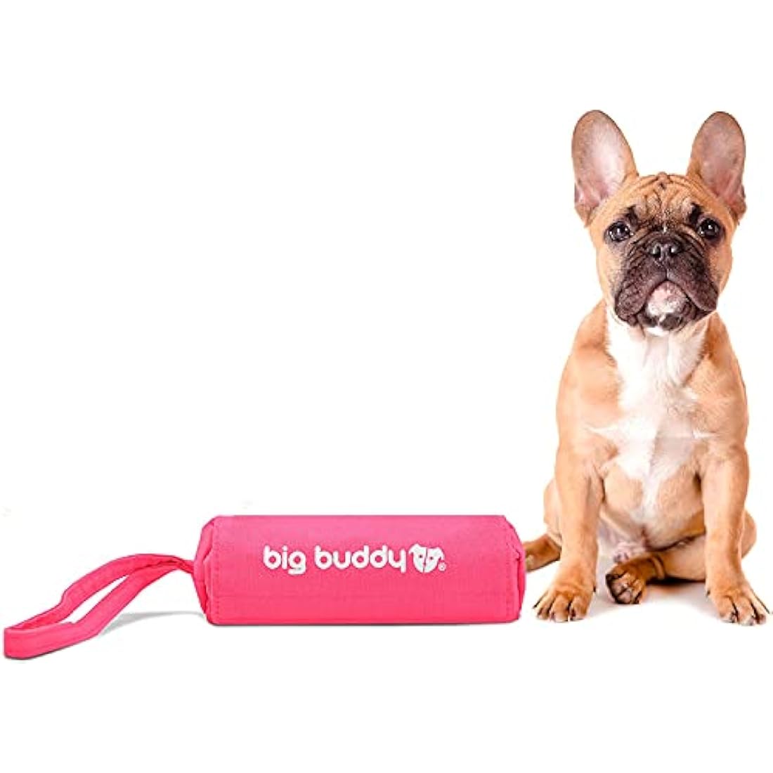 big buddy - Canvas Food Fetch Dummy, Treat Retrieval Bag for Dog Training (Single Pack, Pink)