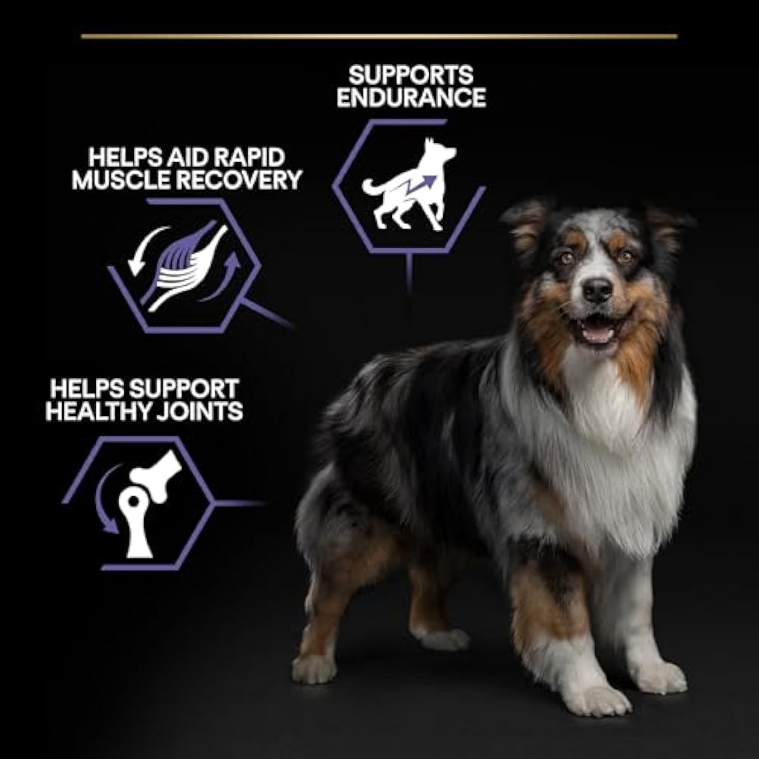 PRO PLAN Adult Performance Dry Dog Food with Chicken 14kg