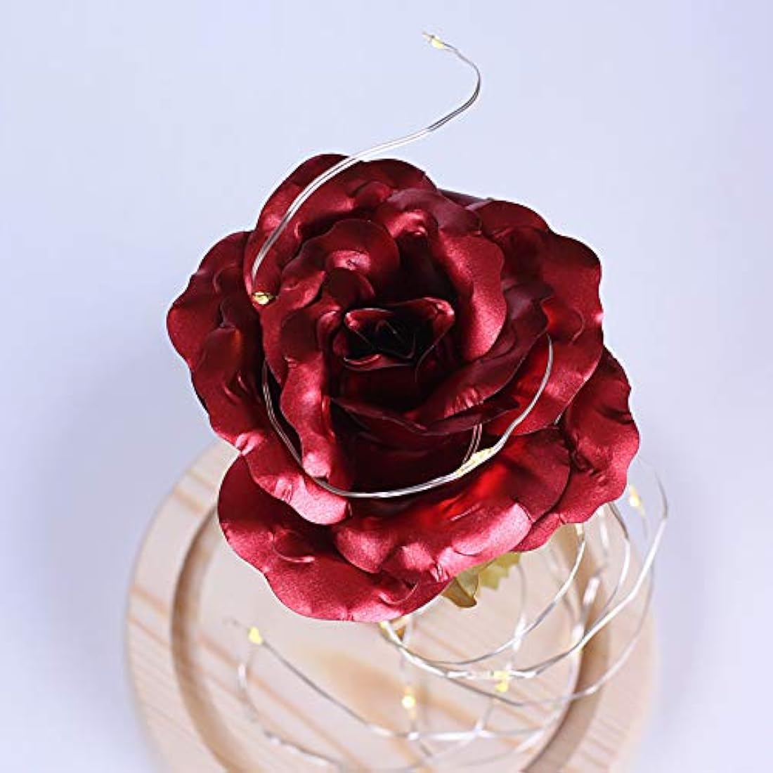 TINYOUTH 24K Red in Glass Dome, Gold Plated Light Up Rose Batteries Included Rose Gifts for Women/Her/Mum Wedding Anniversary Valentines Birthday Xmas