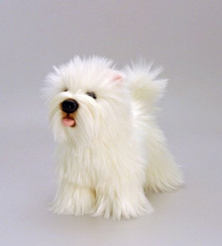 Best in Show - 20cm Dogs with Rosette