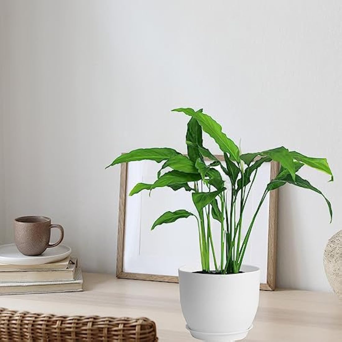 PROFIKLA 20cm, 18cm, 16cm Plastic Plant Pots, Plant Pots with Drainage Holes and Saucers, A Set of 3 Flower Pots, Modern Decorative Planters, White