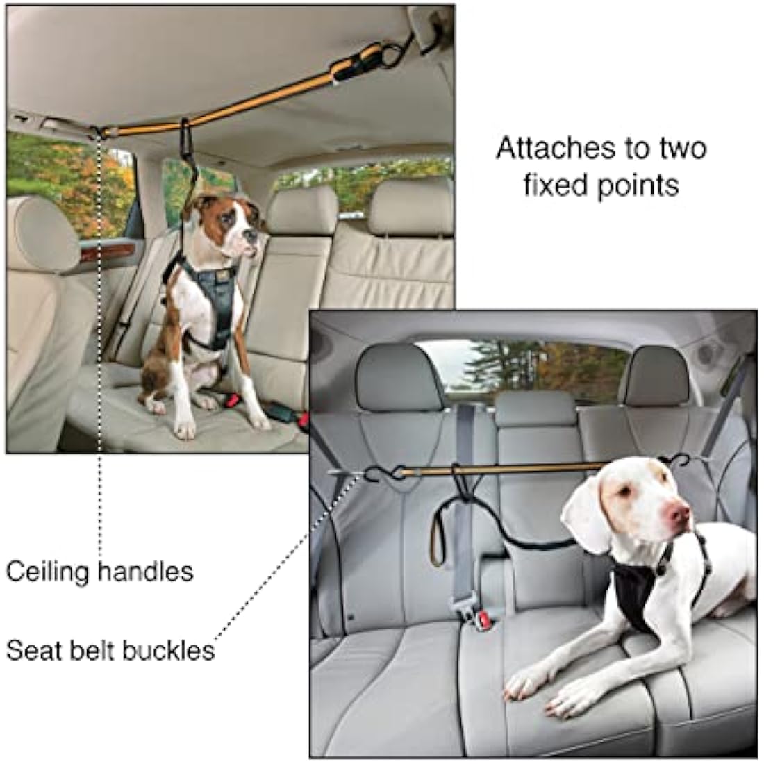 Kurgo Auto ZipLine for Dogs, Dog Safety Restraint for Car, Boat or Campsite, Quick & Easy Installation, Adjustable Length, Black/Orange