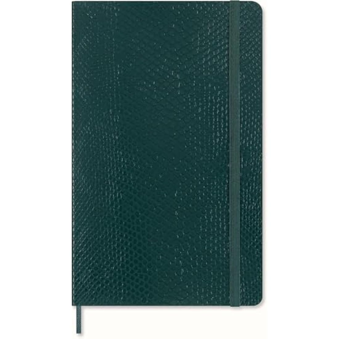 Moleskine Precious & Ethical Notebook, with Gift Box, Vegan Soft Cover Python-Effect, Elastic Closure, Large Format 13x21 cm, Colour Green