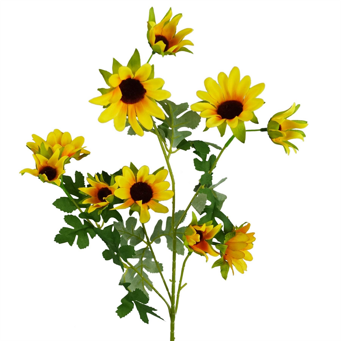 79167768