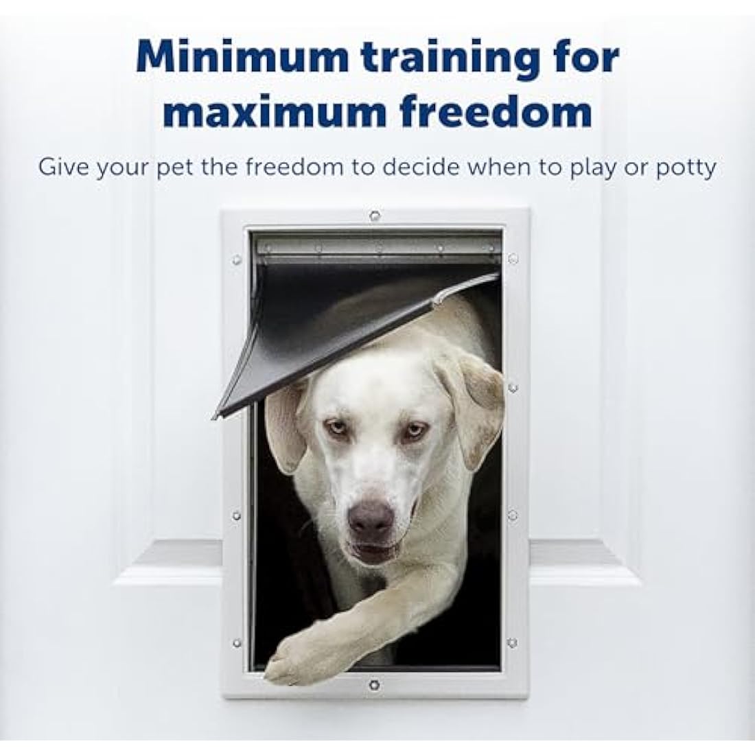 Staywell PetSafe, Aluminium Pet Door, Solid Design, Easy Install, For Pets Up To 7 kg - (Small),White