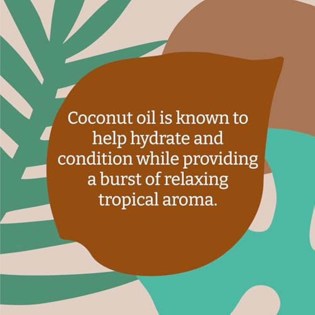 Faith In Nature Organic Coconut Conditioner, Hydrating for Dry Hair & Scalp, Vegan & Cruelty Free, No SLS, Silicones or Parabens, 5L Refill Pack