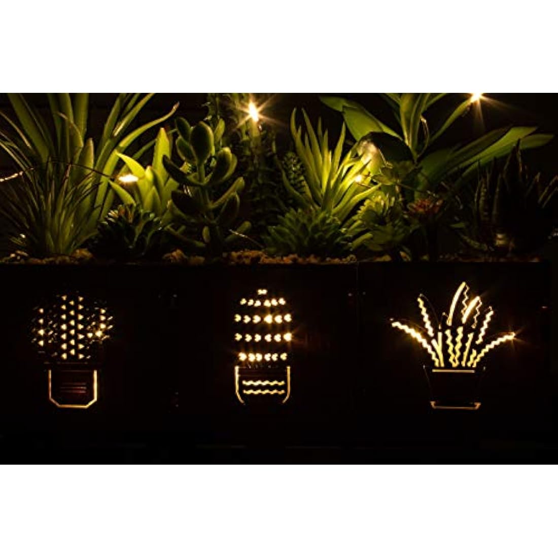 BEGONDIS Set of 3 Artificial Succulents with Led Lights in Wooden Box, Artificial Plants Plastic Fake Topiary for Home/Office Decorations, Table Centerpiece, Valentine's Day