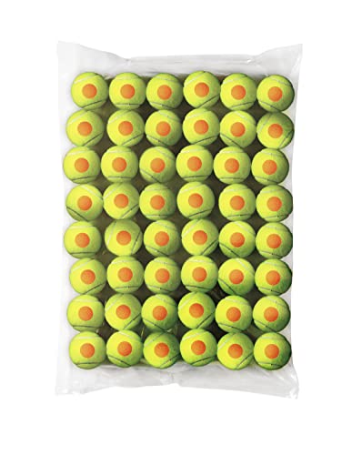 Wilson Starter Tennis Balls (Pack of 48) - Orange