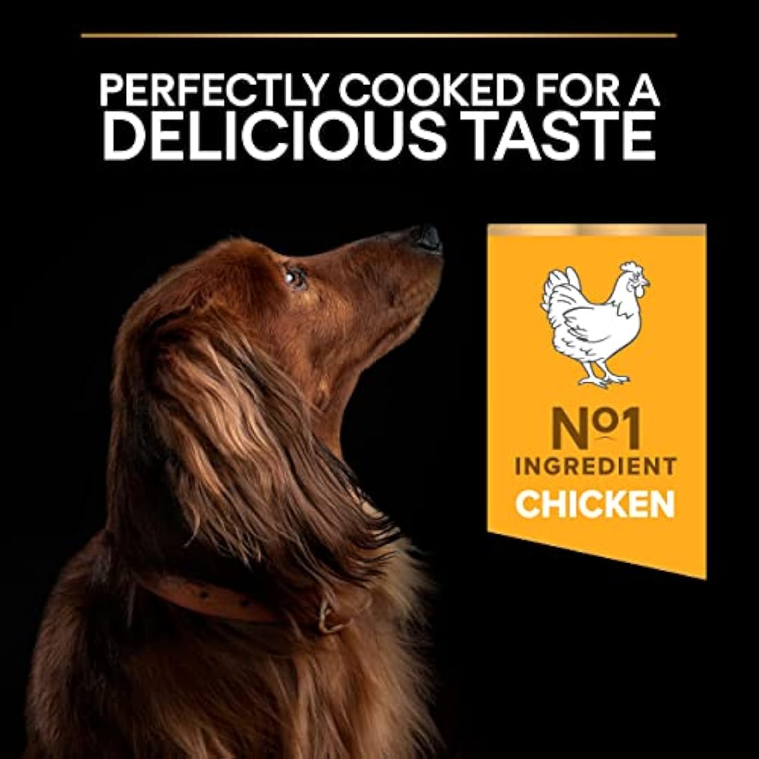 PRO PLAN® Small & Mini Adult Everyday Nutrition Dry Dog Food with Chicken 7kg