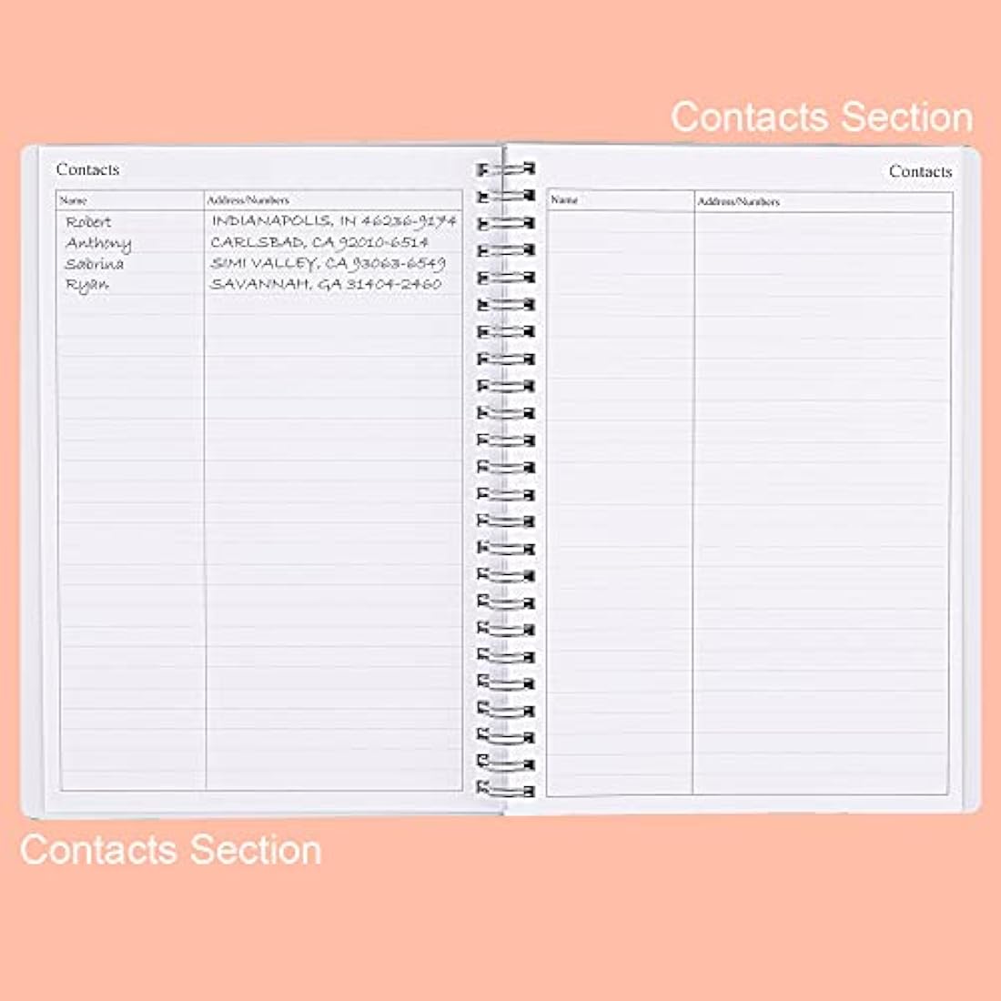 Undated Diary A5 Planner for 2024 or Any Year, Weekly & Monthly Organizer Notebook&Journal to Track Goals, Improve Productivity & Time Management, 15 x 21cm, Perfect to Organize Your Daily Life, Twig