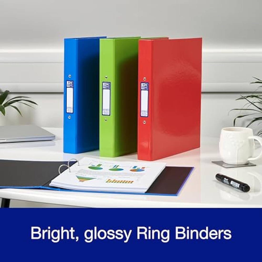 Oxford A4 Ring Binders, Red/Green/Blue, Pack of 3 Folders 40mm