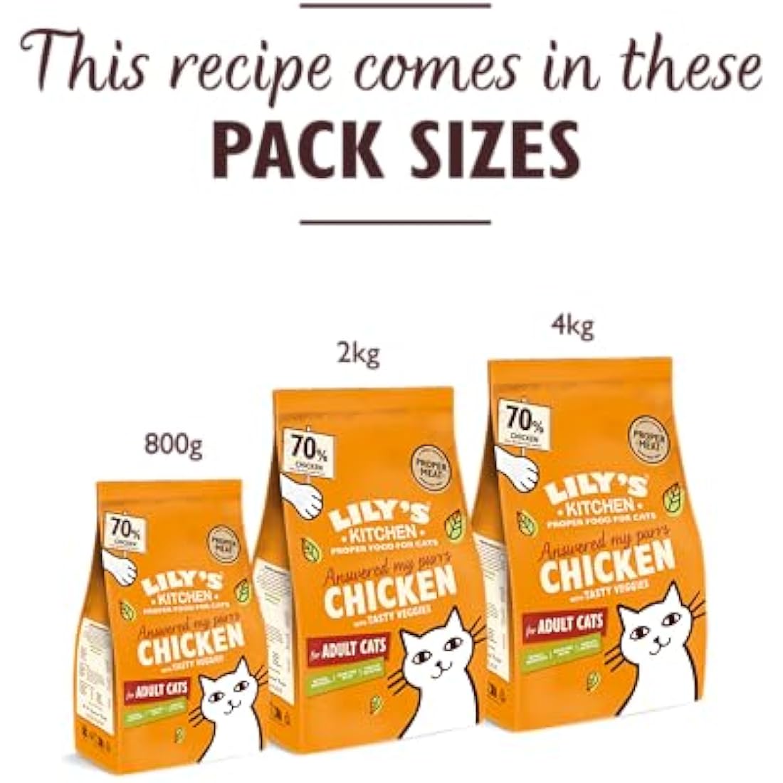 Lily's Kitchen Made with Natural Ingredients Adult Dry Cat Food Bag Chicken with Veggies Grain-Free Recipe 4 x 800g