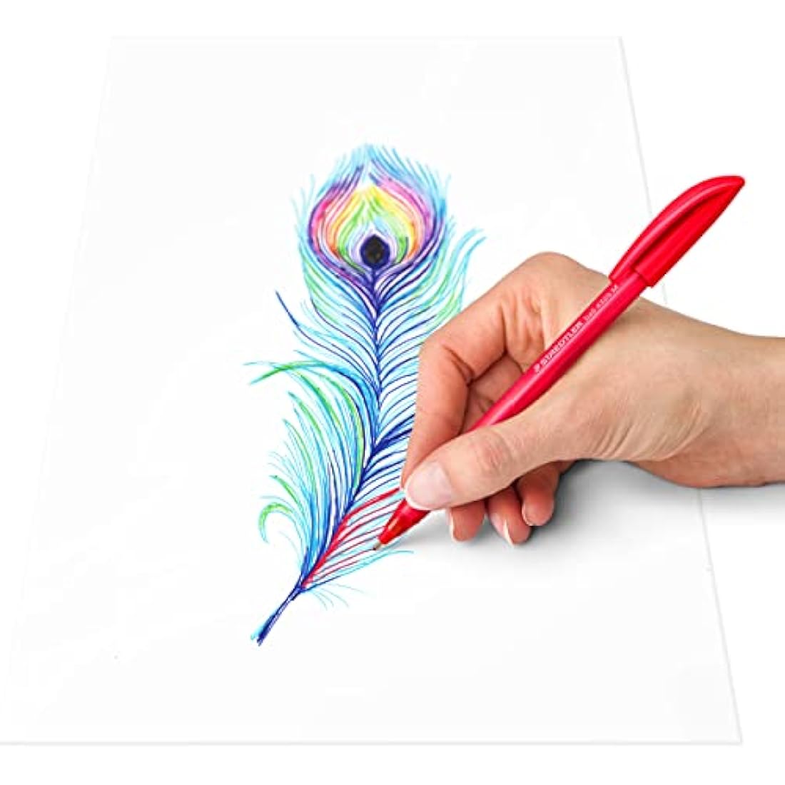 STAEDTLER Ballpoint Pens - Rainbow Stick Pen - Medium Point - 10 Assorted Colours - Pack of 50, 4320 MKP50