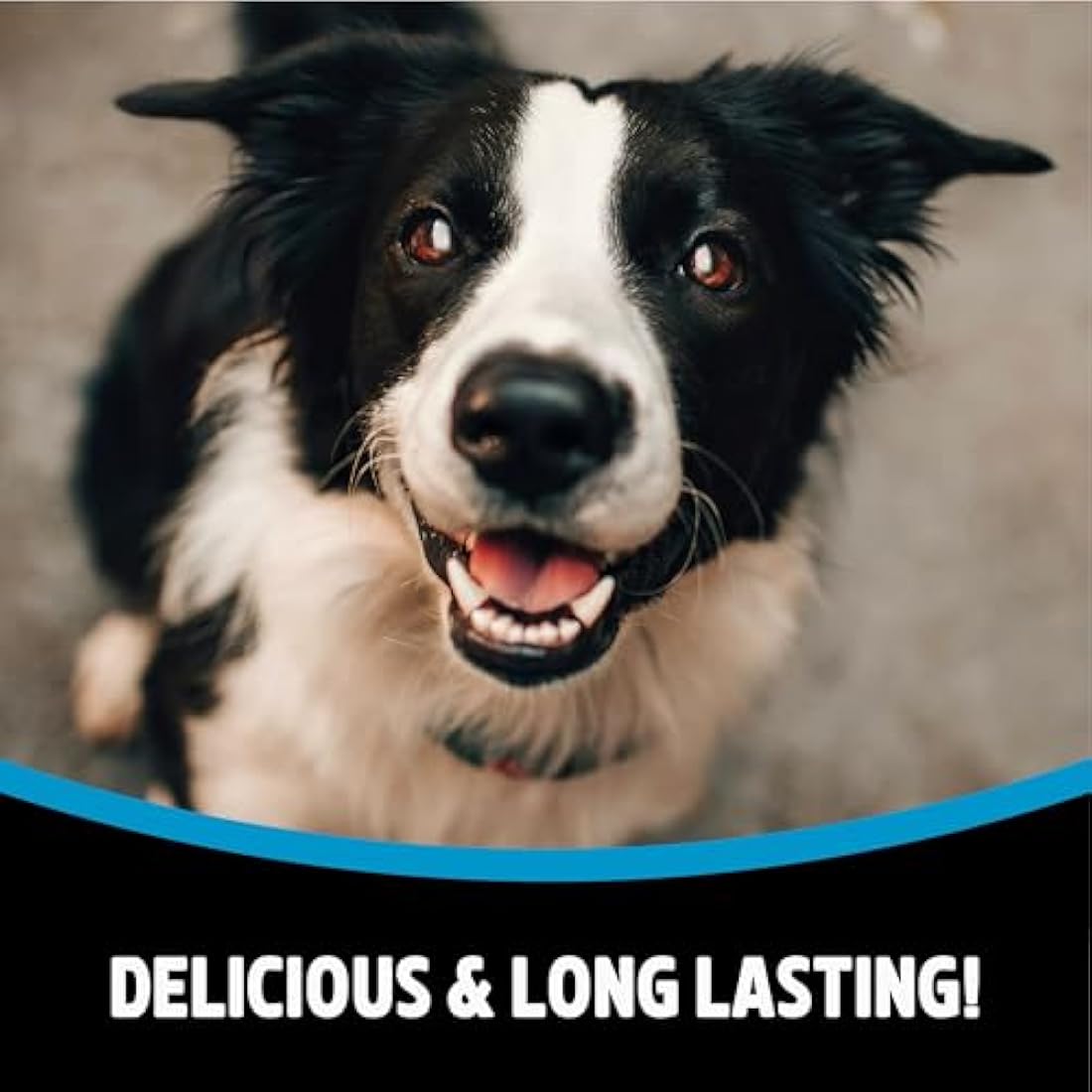 Rosewood Small Chewy Sticks for Dogs - Made with Lamb, Grain Free Chews, High Protein Dog Treats, By Pets Unlimited (8pc, 72g)
